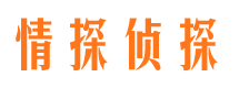 淅川侦探